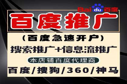 探索某某SEM团队如何通过策略调整提高广告点击率